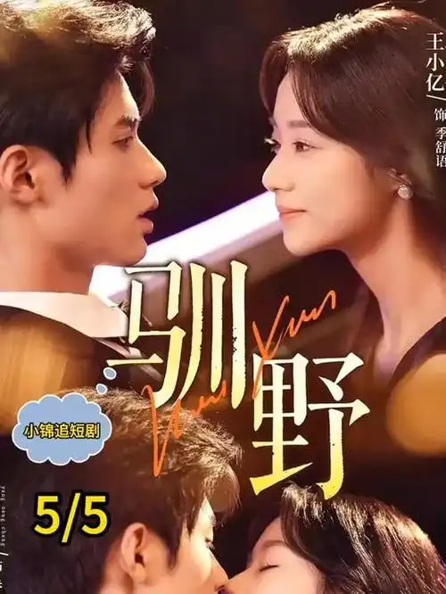山海邮路剧集索引卡封面